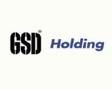GSDHO Will Pay Dividend GSDHO Will Pay Dividend