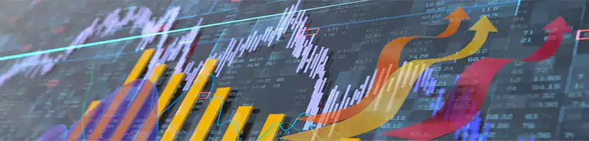 Balsu Gıda San. ve Tic. A.Ş. Ipo