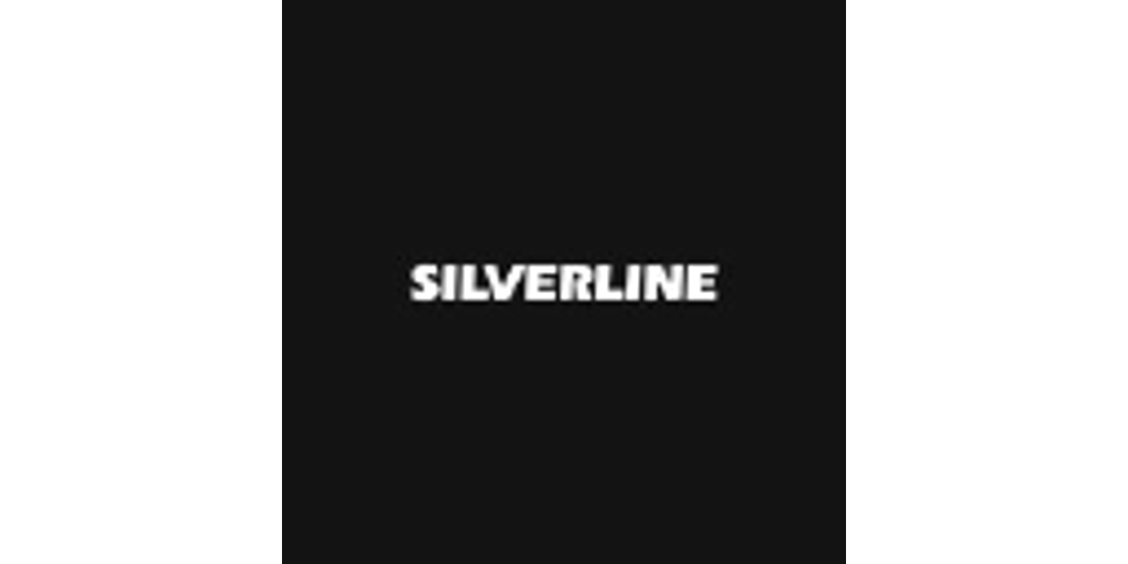 Silverline Endüstri ve Ticaret A.Ş. logosu