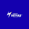 Türker Vangölü Enerji Yatırım A.Ş. logosu
