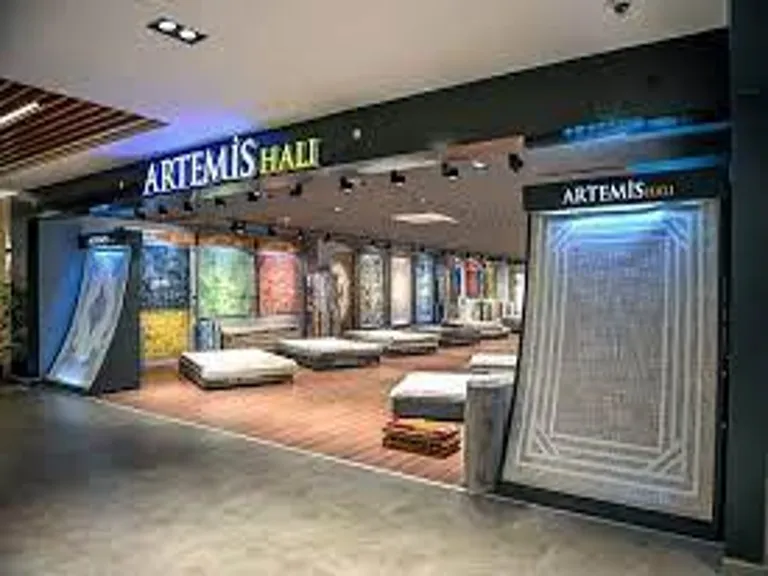 ARTMS Halka Arz