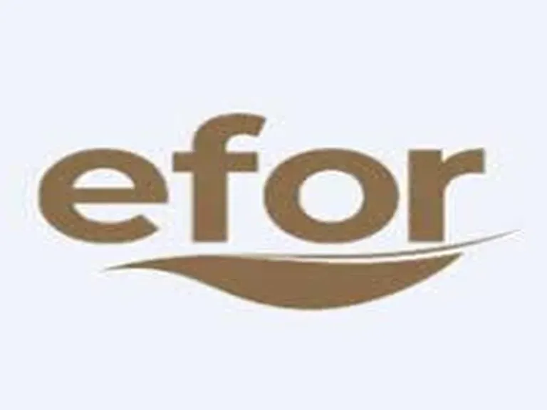 Efor Çay Sanayi Tic. A.Ş.