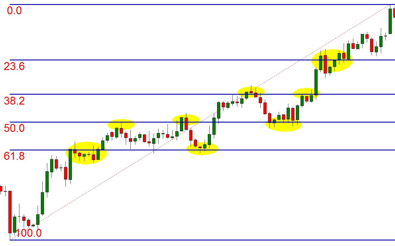 fibonacci dizisi ve teknik analiz