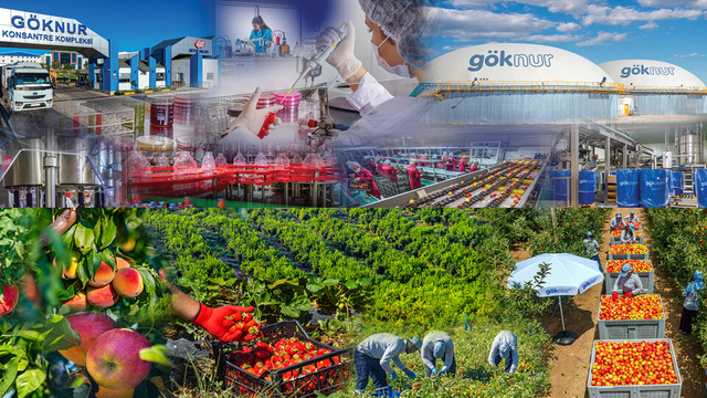 GOKNR Halka Arz
