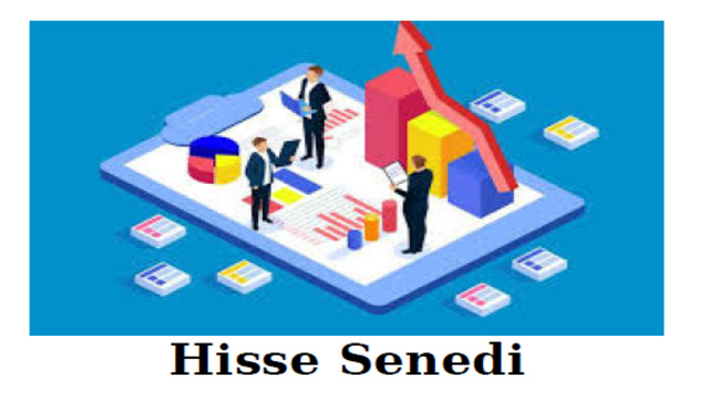 Hisse Senedi Nedir