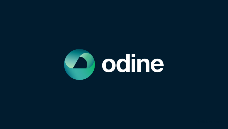 Odine Solutions Teknoloji Tic. ve San. A.Ş. Halka Arz Analiz