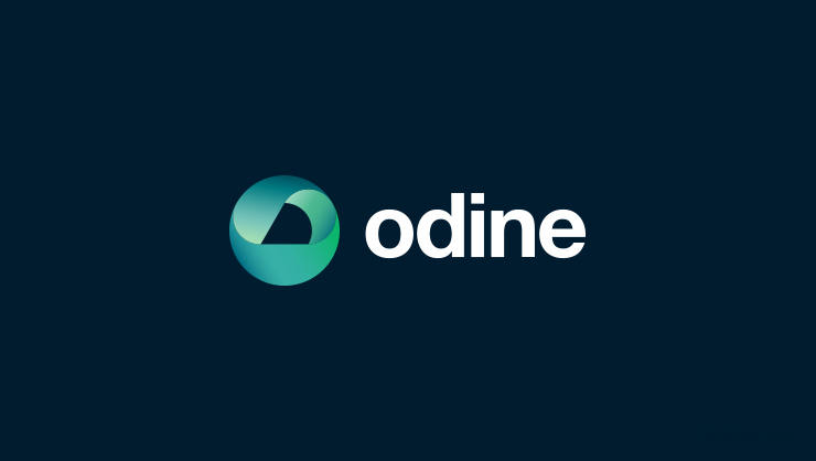 Odine Solutions Teknoloji Tic. ve San. A.Ş. Halka Arz