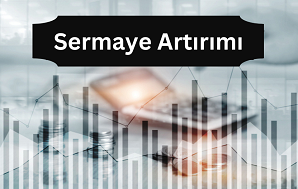 Sermaye Artırımı Çeşitleri Nelerdir?